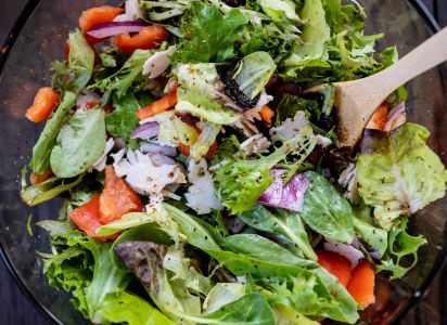 Dietary Fiber 