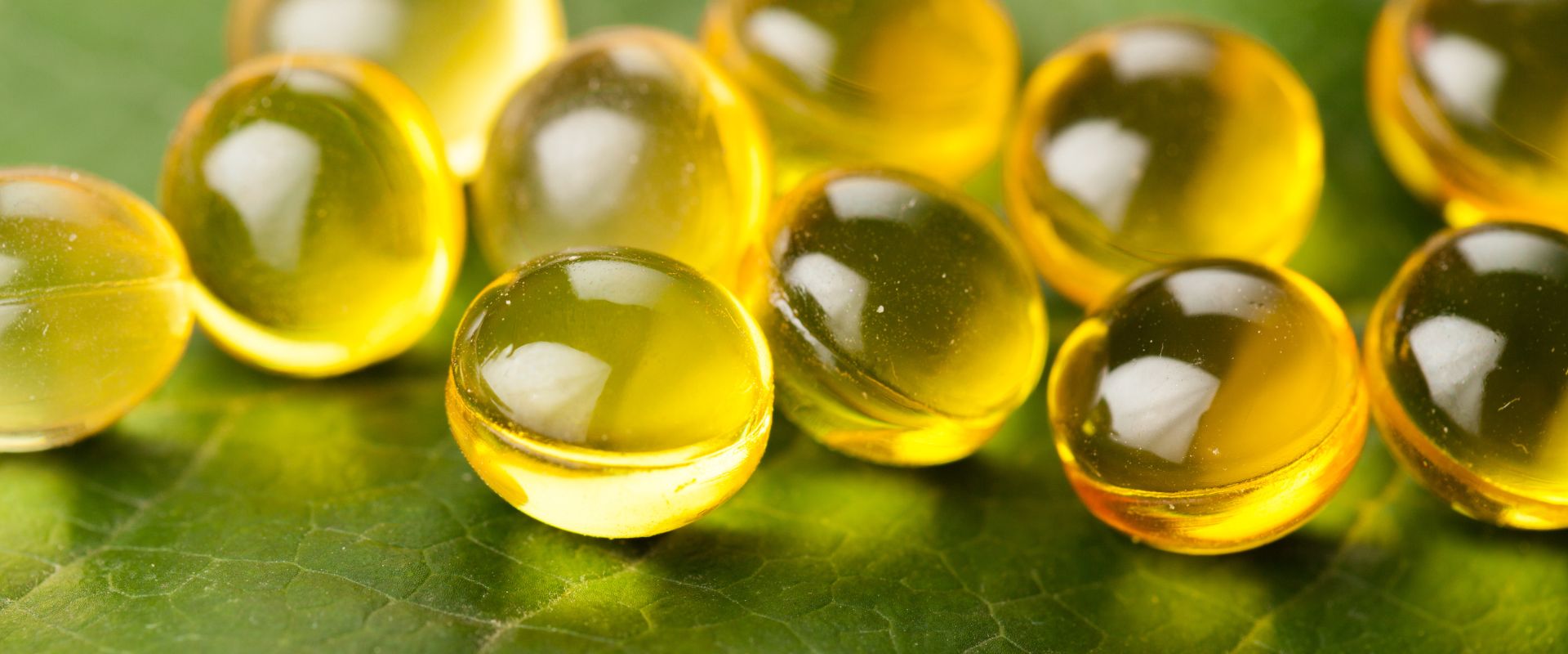 Alcardia Healthcare banner